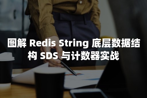 图解 Redis String 底层数据结构 SDS 与计数器实战