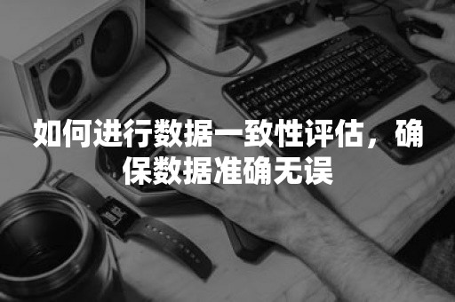 如何进行数据一致性评估，确保数据准确无误