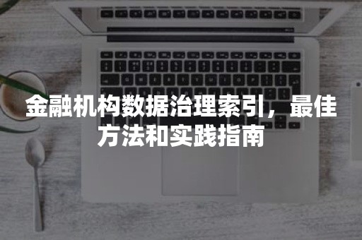 金融机构数据治理索引，最佳方法和实践指南