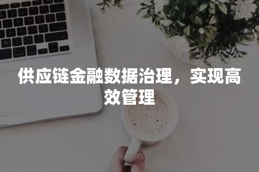 供应链金融数据治理，实现高效管理