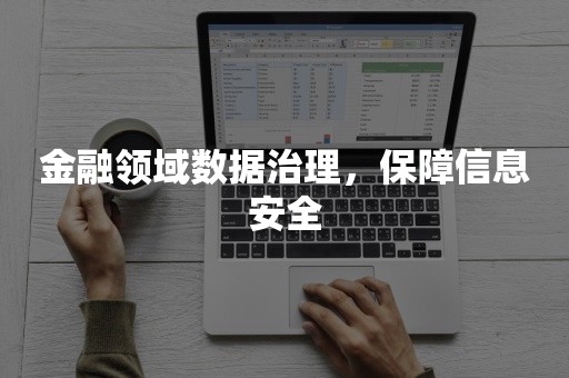 金融领域数据治理，保障信息安全