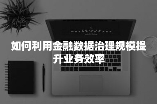 如何利用金融数据治理规模提升业务效率