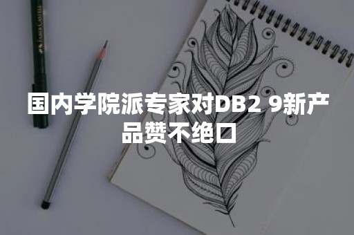 国内学院派专家对DB2 9新产品赞不绝口