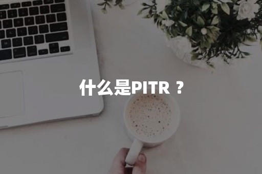 什么是PITR ？