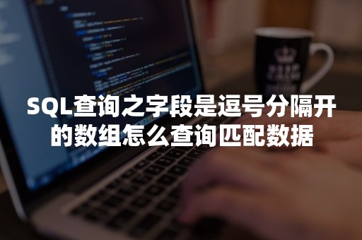 SQL查询之字段是逗号分隔开的数组怎么查询匹配数据