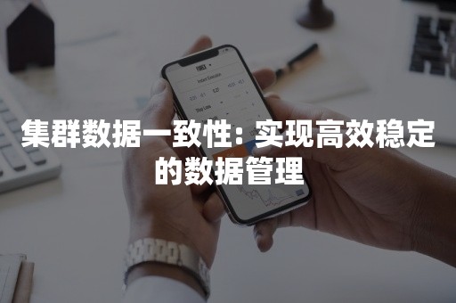 集群数据一致性: 实现高效稳定的数据管理