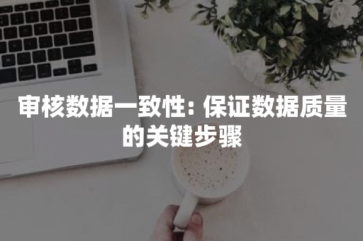 审核数据一致性: 保证数据质量的关键步骤