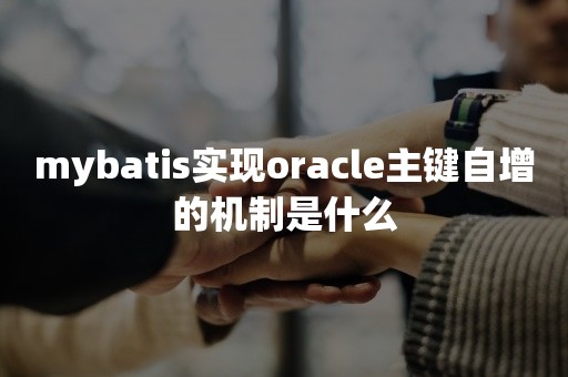 mybatis实现***主键自增的机制是什么