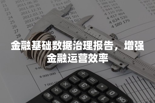 金融基础数据治理报告，增强金融运营效率