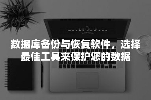 数据库备份与恢复软件，选择最佳工具来保护您的数据