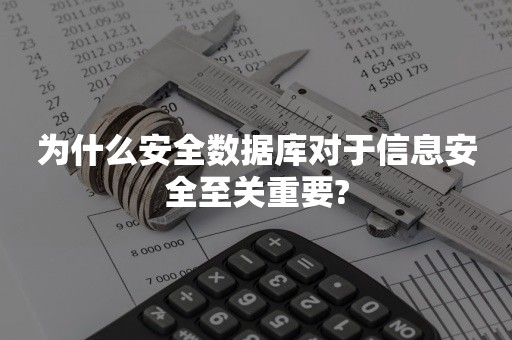 为什么安全数据库对于信息安全至关重要?