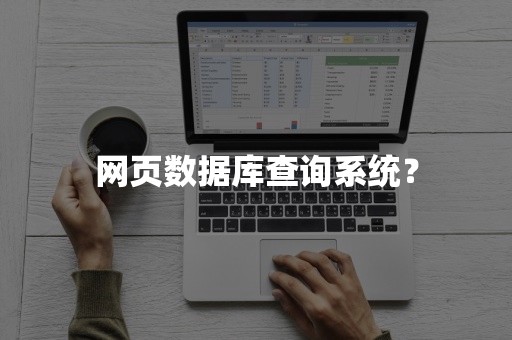 网页数据库查询系统？