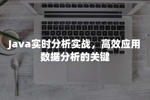 Java实时分析实战，高效应用数据分析的关键