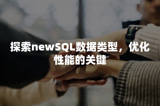 探索newSQL数据类型，优化性能的关键