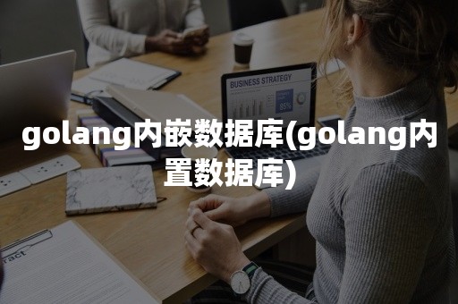 golang内嵌数据库(golang内置数据库)
