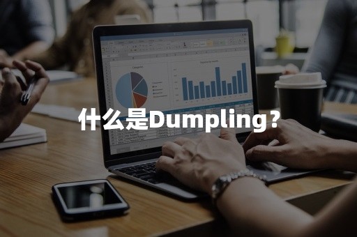 什么是Dumpling？