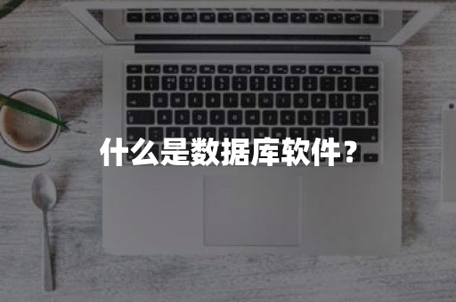 什么是数据库软件？