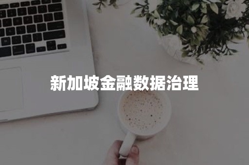 新加坡金融数据治理