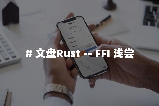 # 文盘Rust -- FFI 浅尝