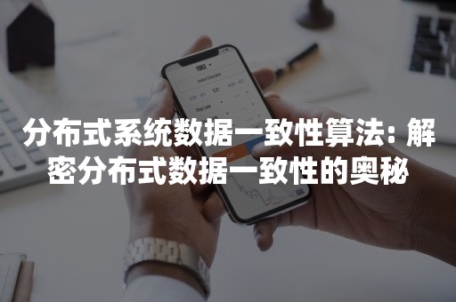 分布式系统数据一致性算法: 解密分布式数据一致性的奥秘