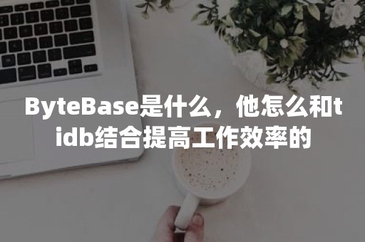 ByteBase是什么，他怎么和tidb结合提高工作效率的