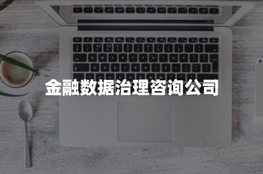 金融数据治理咨询公司