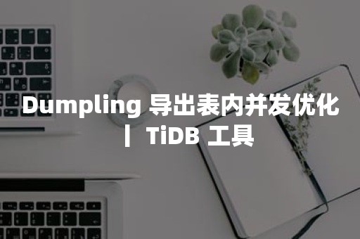 平凯星辰Dumpling 导出表内并发优化丨 TiDB 工具