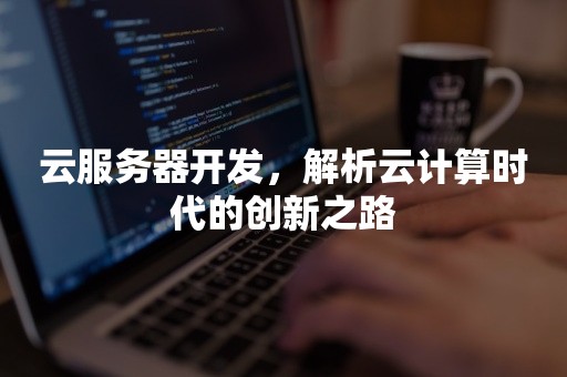 云服务器开发，解析云计算时代的创新之路