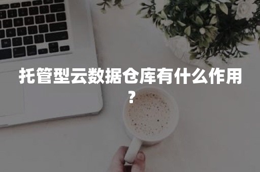 托管型云数据仓库有什么作用？