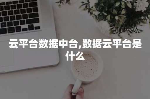 云平台数据中台,数据云平台是什么