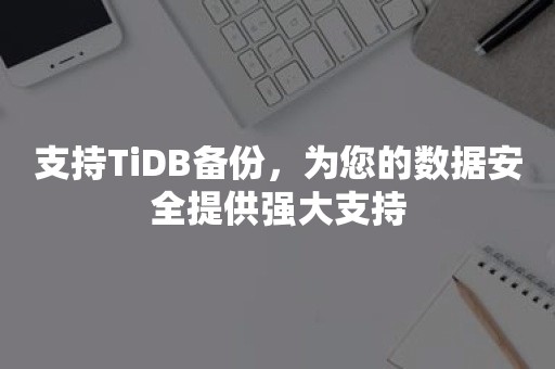 支持TiDB备份，为您的数据安全提供强大支持