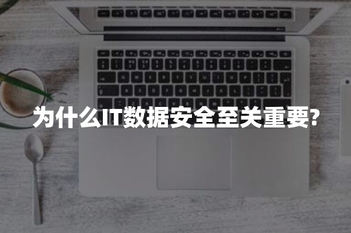 为什么IT数据安全至关重要?