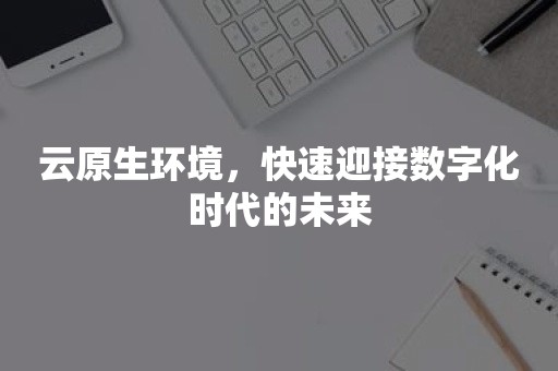 云原生环境，快速迎接数字化时代的未来