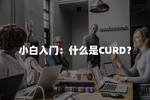 小白入门：什么是CURD？