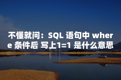 不懂就问：SQL 语句中 where 条件后 写上1=1 是什么意思