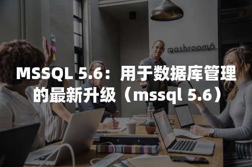 MSSQL 5.6：用于数据库管理的最新升级（mssql 5.6）