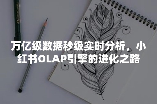 万亿级数据秒级实时分析，小红书OLAP引擎的进化之路