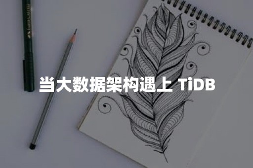 当大数据架构遇上 TiDB