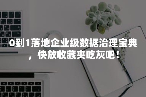 0到1落地企业级数据治理宝典，快放收藏夹吃灰吧！