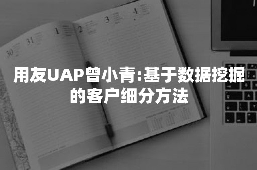 用友UAP曾小青:基于数据挖掘的客户细分方法