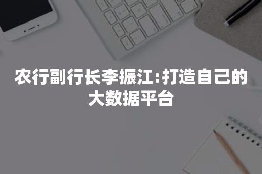 农行副行长李振江:打造自己的大数据平台