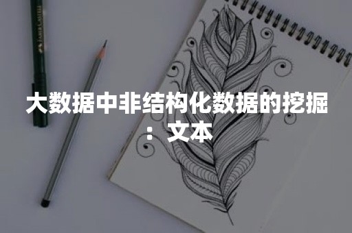 大数据中非结构化数据的挖掘：文本