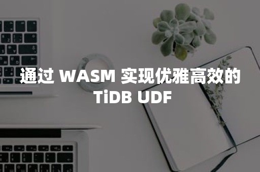 通过 WASM 实现优雅高效的 TiDB UDF