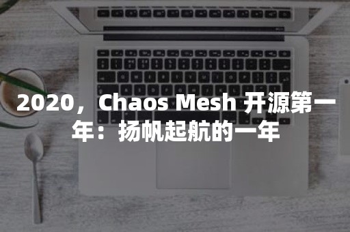 2020，Chaos Mesh 开源第一年：扬帆起航的一年