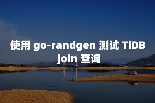 使用 go-randgen 测试 TiDB join 查询