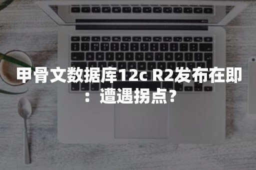 甲骨文数据库12c R2发布在即：遭遇拐点？