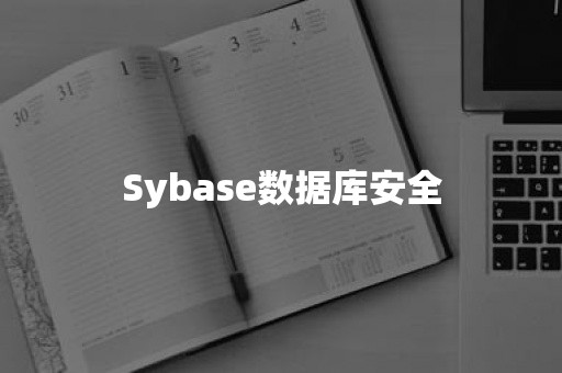 Sybase数据库安全