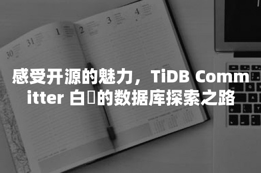 感受开源的魅力，TiDB Committer 白珅的数据库探索之路