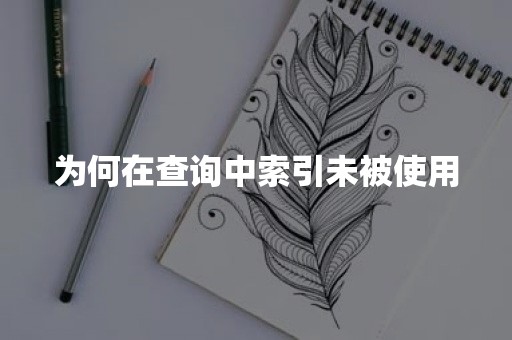 为何在查询中索引未被使用