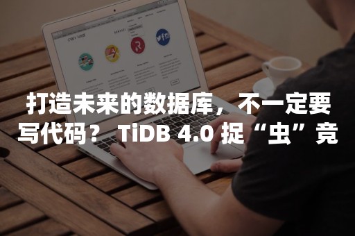 打造未来的数据库，不一定要写代码？ TiDB 4.0 捉“虫”竞赛等你来战云原生分布式数据库